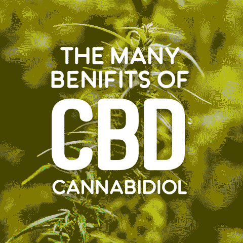 Client:  One Stop Smoke ShopProject:  CBD Social Media Video