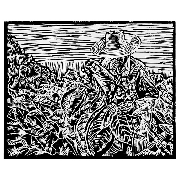 Original Lino-Cut